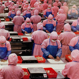 Edward Burtynsky "Manufacturing #17" Photograph, 2005