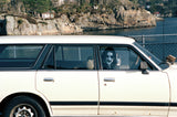 Peter Beste "King Car Horns" Photograph, 2003